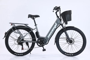 Xe đạp điện trợ lực Phoenix C1