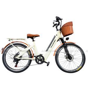 Xe đạp điện trợ lực Phoenix D2