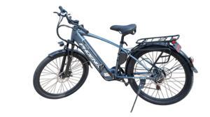 Xe đạp điện trợ lực Phoenix G2