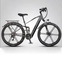 Xe đạp điện trợ lực Phoenix M19