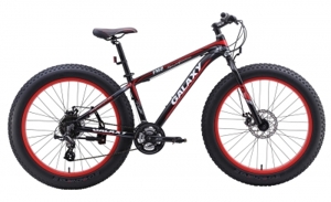 Xe đạp Galaxy FM2