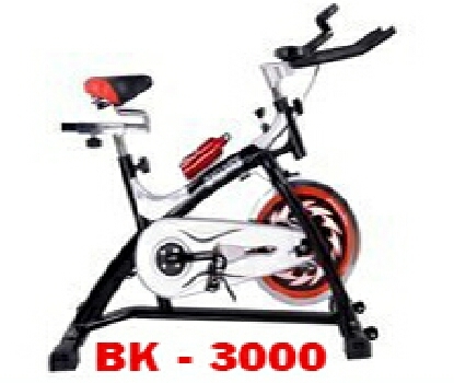 Xe đạp tập tại chỗ BK2000