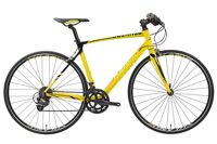 Xe đạp thể thao Asama RB SL2802T