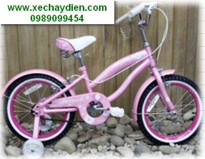 Xe đạp trẻ em 906 16
