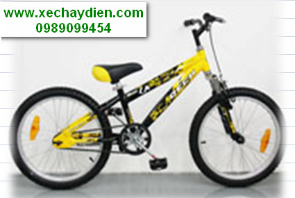 Xe đạp trẻ em AL-966-20B