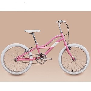 Xe đạp trẻ em Lion Bird 20 inch