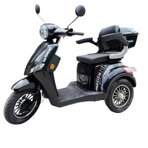 Xe điện 3 bánh Goda Pro