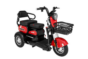 Xe điện 3 bánh Victory Better