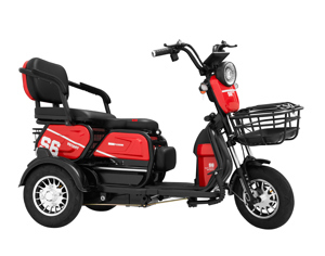 Xe điện 3 bánh Victory S6