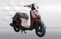 Xe ga 50cc Giorno Detech