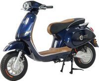 Xe máy điện Ally Autosun A1