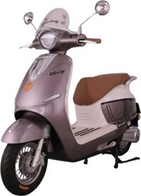 Xe máy điện Tailg R71