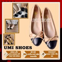 ᵀᴴᴱ ˢᴴᴼᴱˢ ᴺᴱᵂ ⬥︎  Giày búp bê nữ nơ thắt bé mũi tròn hài đế bệt đơn giản đi làm đi học đi chơi mới xinh công sở đẹp hot