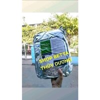 [ 0.5Kg , 1KG ] CÁM THÁI INVE 2/3, 3/5 , 5/8 ( NRD & O. Range )