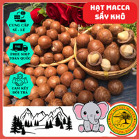 { 1KG } Hạt Macca Sấy Khô Nứt Vỏ - Tặng kèm dụng cụ tách vỏ- Thơm ngon giàu dinh dưỡng || Đặc Sản Tây Nguyên 48 Đăk Nông