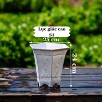 [ 5 Cái ] chậu nhựa Lục Giác Cao S 1 ( miệng 25cm x cao 24cm )