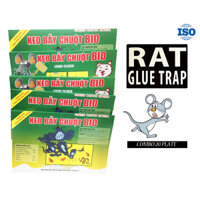 [ ✔️ ] Combo 20 miếng Keo bẫy chuột, keo dính chuột không độc hại