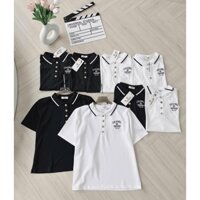 🍀 A202-ÁO POLO CHANEO CỔ BO CÚC ĐỒNG 🌿