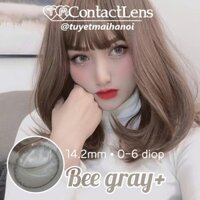 [ Ảnh Thật ] Lens Cận Màu Xám Tây Nổi Bật Bee Gray 14.2mm - Kính Áp Tròng Hàn Quốc Vassen Sexy Me