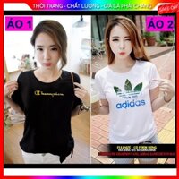 [ ÁO BIGSIZE ] - Áo Thun Nữ Kiểu Hàn Quốc (Hình Thật Shop Tự Chụp)