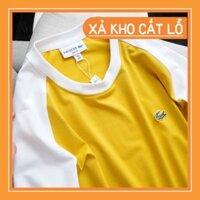 . Áo Thun Dài Tay Unisex | Thun DT Cổ Tròn | RAGLAN | [VNXK] .