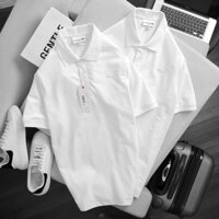 💥 áo thun nam polo thêu họa tiết cá xấu trước ngực cực đẹp💥