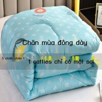 ◄ ATZvvn Cold AaA ACold Ưu đãi đặc biệt chăn bông dày ấm 10 pound chăn mùa đông chăn mùa xuân và mùa thu chăn đôi mùa th