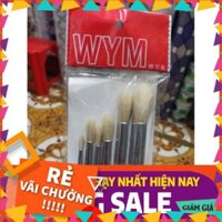 [ BÁN CHẠY ] Bộ cọ vẽ cao cấp 6 cây đầu tròn , lông lẹn trắng dài.