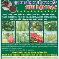 [ Bán Chạy giảm 30.000 / Combo 3 chai trùn quế đậm đặc loại 1 lít còn 330.000