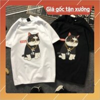 [ Bán giá gốc] Nguyên bộ đồ thể nam đồ thể thao mặc ở nhà đồ thể thao mẫu mới nhất hiện nay