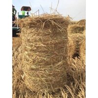 ( Bán sỉ) FREESHIP 1 cuộn rơm khô vàng 15-18kg (HCM)