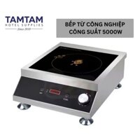 🔥 Bếp từ công nghiệp 5000W mặt phẳng 🔥