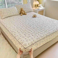 ( BIG SALE ) Ga cotton Đũi + 2 Vỏ gối đầu, ga trần bông trải giường 1m5-1m6-1m8-2m2