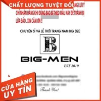 [ Bigsize 80- 135 kg] Áo thun thể thao nam thun lanh họa tiết dập vân cực đẹp BIGBOSS