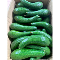 🥑 BƠ 034 - ĐẶC SẢN LÂM ĐỒNG🥑