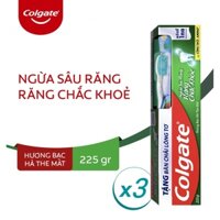 🍒 Bộ 3 hộp Kem đánh răng Colgate Cavity Protection Strong Teeth ngừa sâu răng 225 g (tặng bàn chải đánh răng Colgate)