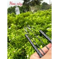 : Cần Lure Rồng Đen