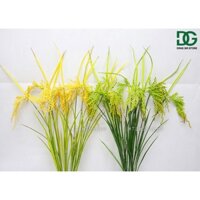 [ CAO CẤP - Y THẬT] Set 10 cành bông lúa giả trang trí 75cm