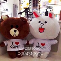 - cặp đôi Brown và thỏ