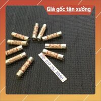 . Cầu chì sứ 13 A của cầu thang máy (10 chiếc) .