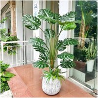 💥 Cây giả - Cây lá xẻ trang trí nhà ở, tiểu cảnh, ban công độc đáo cao 150cm - LC3058