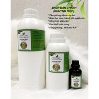 ( Chai Lớn 1 lít - 500ml) Tinh Dầu Khuynh Diệp / Bạch Đàn Chanh, ĐẶC BIỆT Nguyên Chất - NGÂN HOA LINH