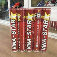 ✅ Chính hãng - CẦU VINASTAR ĐỎ ống 12 quả