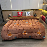 ( Chính Hãng ) Chăn Lông Cừu YUKI siêu ấm đón gió mùa Đại Hàn Kích Thước 2mx2m3