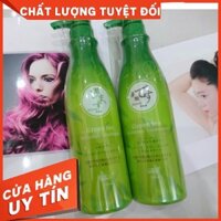 [ CHÍNH HÃNG ] Dầu cặp gội xả Trà Xanh GREEN TEA 750ml hàng chuẩn