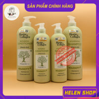 ✅ [CHÍNH HÃNG] Dầu Gội Biotin Collagen Xanh Lá 500ML - 1000ML | Phục Hồi Tóc, Kiềm Dầu, Giảm Rụng