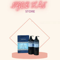 [ CHÍNH HÃNG] DẦU GỘI XẢ PHỤC HỒI HISCHER ARGAN OIL 1000ML