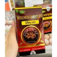 ✅[ Chính hãng] Viên Uống Đông Trùng Hạ Thảo Wellness Nutrition Nature Gift (C/30V)