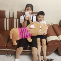 - chó puco 80cm chuẩn