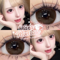 [ Choco Giãn tròng ] Lens nâu socola - Kèm khay đựng